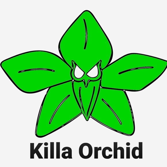 Hello Poshmark family! I am Chyteal. - Picture 3 of 16